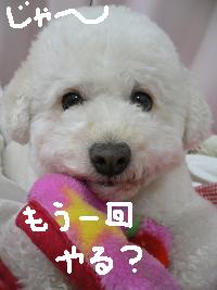 画像 6265.jpg