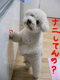 画像 6271.jpg