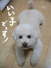 画像 6276.jpg