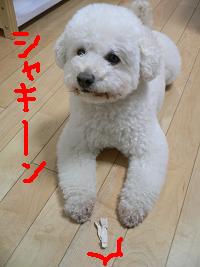 画像 6277.jpg