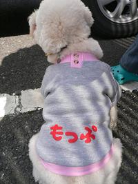 画像 6280.jpg