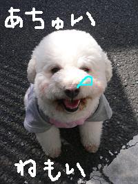 画像 6281.jpg