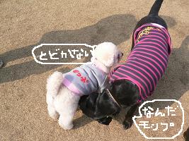 画像 6292.jpg