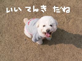 画像 6295.jpg