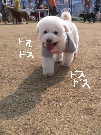 画像 6296.jpg