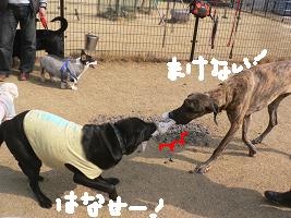 画像 6298.jpg