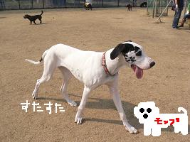 画像 6299.jpg