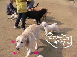 画像 6302.jpg