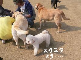 画像 6303.jpg