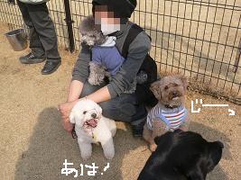 画像 6307.jpg