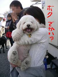 画像 6310.jpg