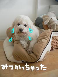 画像 6312.jpg