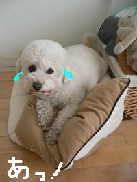 画像 6313.jpg