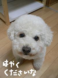 画像 6322.jpg