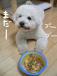画像 6323.jpg