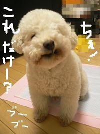 画像 6326.jpg
