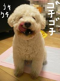 画像 6327.jpg