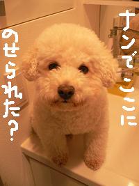 画像 6328.jpg
