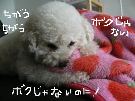 画像 6342.jpg