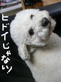 画像 6348.jpg