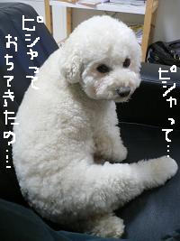 画像 6349.jpg