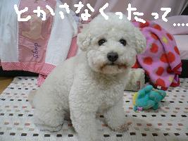 画像 6351.jpg