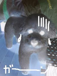 画像 6356.jpg