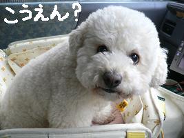 画像 6357.jpg