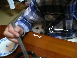 画像 6366.jpg