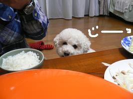 画像 6370.jpg