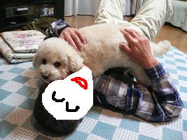 画像 6375.jpg