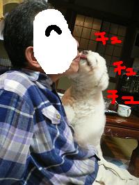 画像 6378.jpg