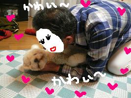 画像 6379.jpg