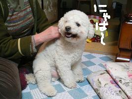 画像 6381.jpg