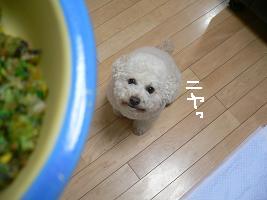 画像 6389.jpg