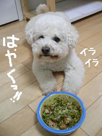 画像 6392.jpg