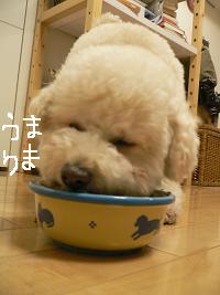 画像 6394.jpg