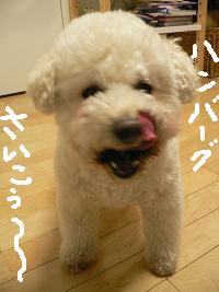 画像 6395.jpg