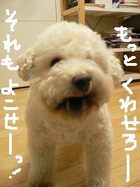 画像 6396.jpg