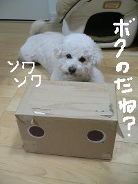 画像 6402.jpg