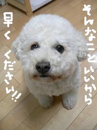 画像 6406.jpg