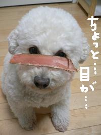 画像 6407.jpg