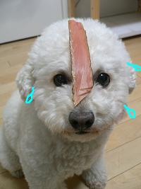 画像 6408.jpg