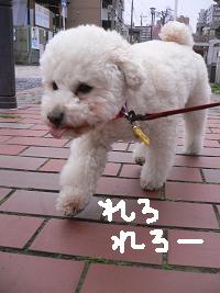 画像 6409.jpg
