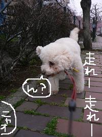 画像 6410.jpg