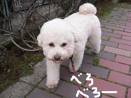 画像 6411.jpg