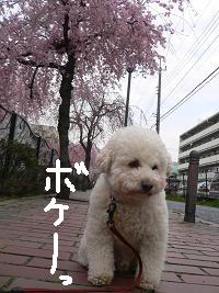 画像 6412.jpg