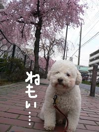 画像 6413.jpg