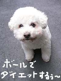 画像 6421.jpg