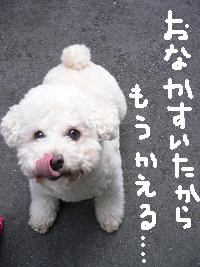 画像 6423.jpg